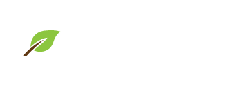 Access to Shalowan