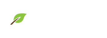 Stories of Shalowan