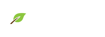 傳媒資訊