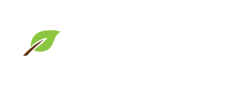 活動