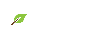 條款及細則